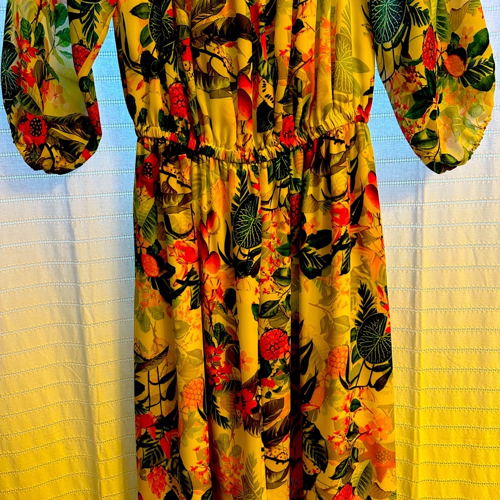 Catherine Malandrino long floral dress.